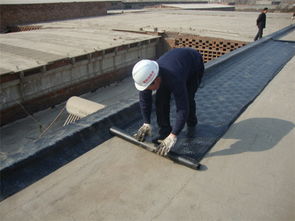 連云港sbs防水卷材供應,連云港sbs防水卷材供應生產(chǎn)廠家,連云港sbs防水卷材供應價格